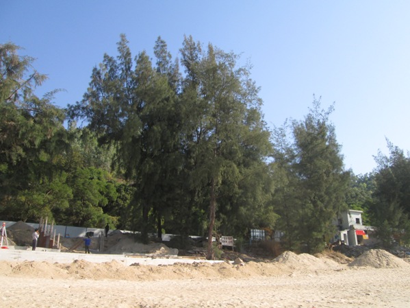 深圳排水证 (7).jpg