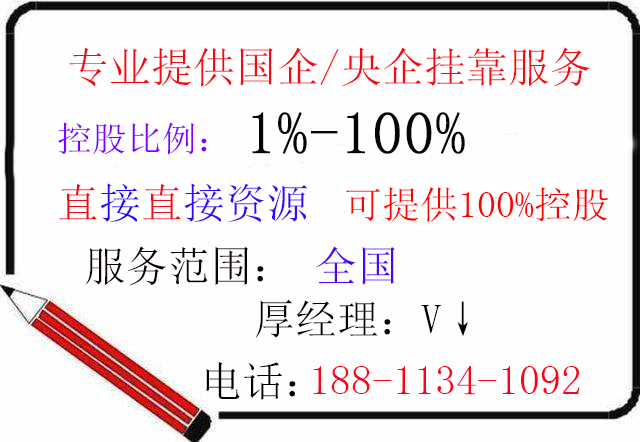 国企挂靠.jpg
