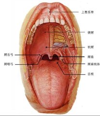 t01d689a013f183f368.jpg