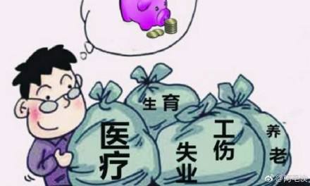 社保.jpg