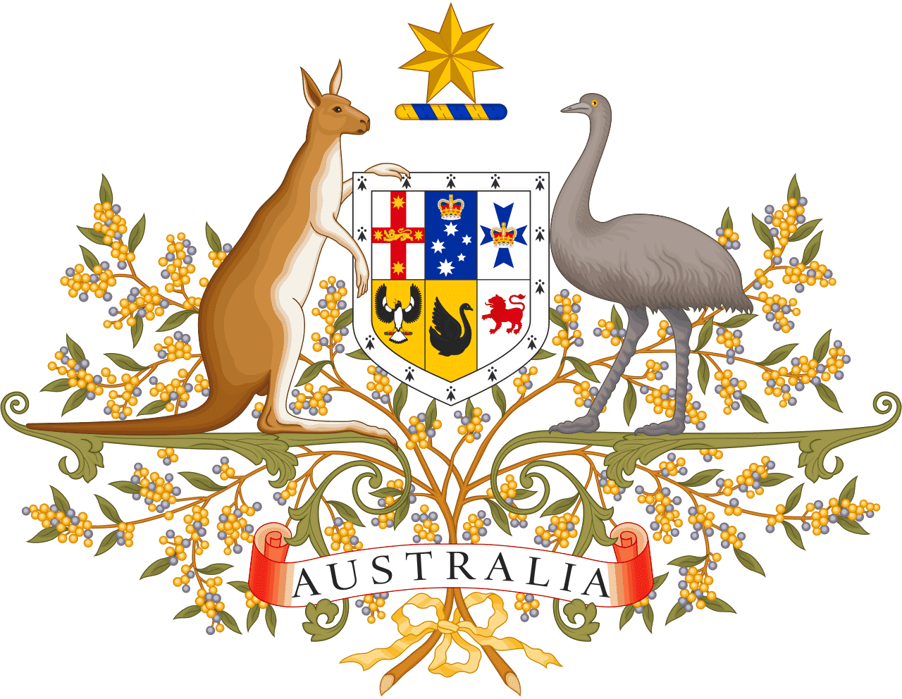 566307a53c046d51c748479388491c7 (2).png