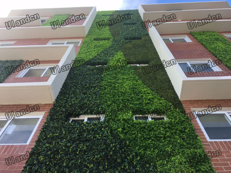 仿真植物墙-学校外墙.jpg