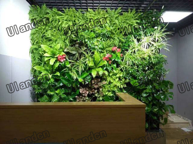 仿真植物墙-1.jpg