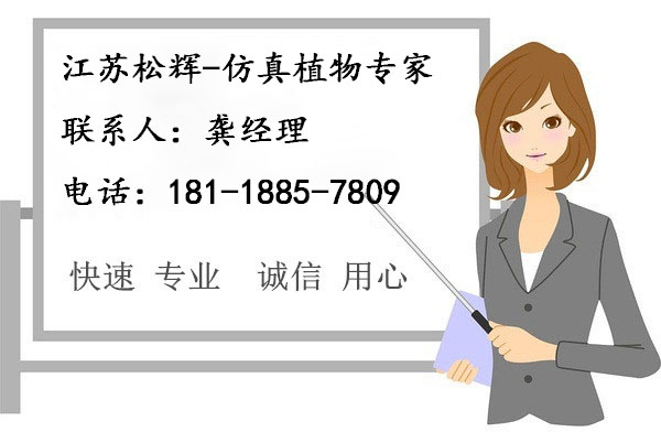 江苏松辉.jpg