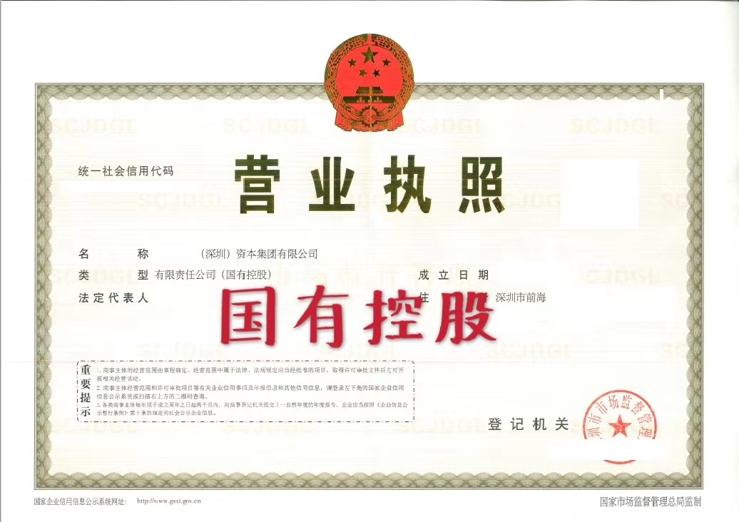 国有控股.jpg