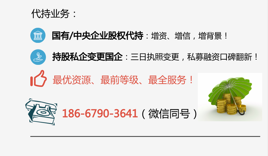 挂靠代持.jpg