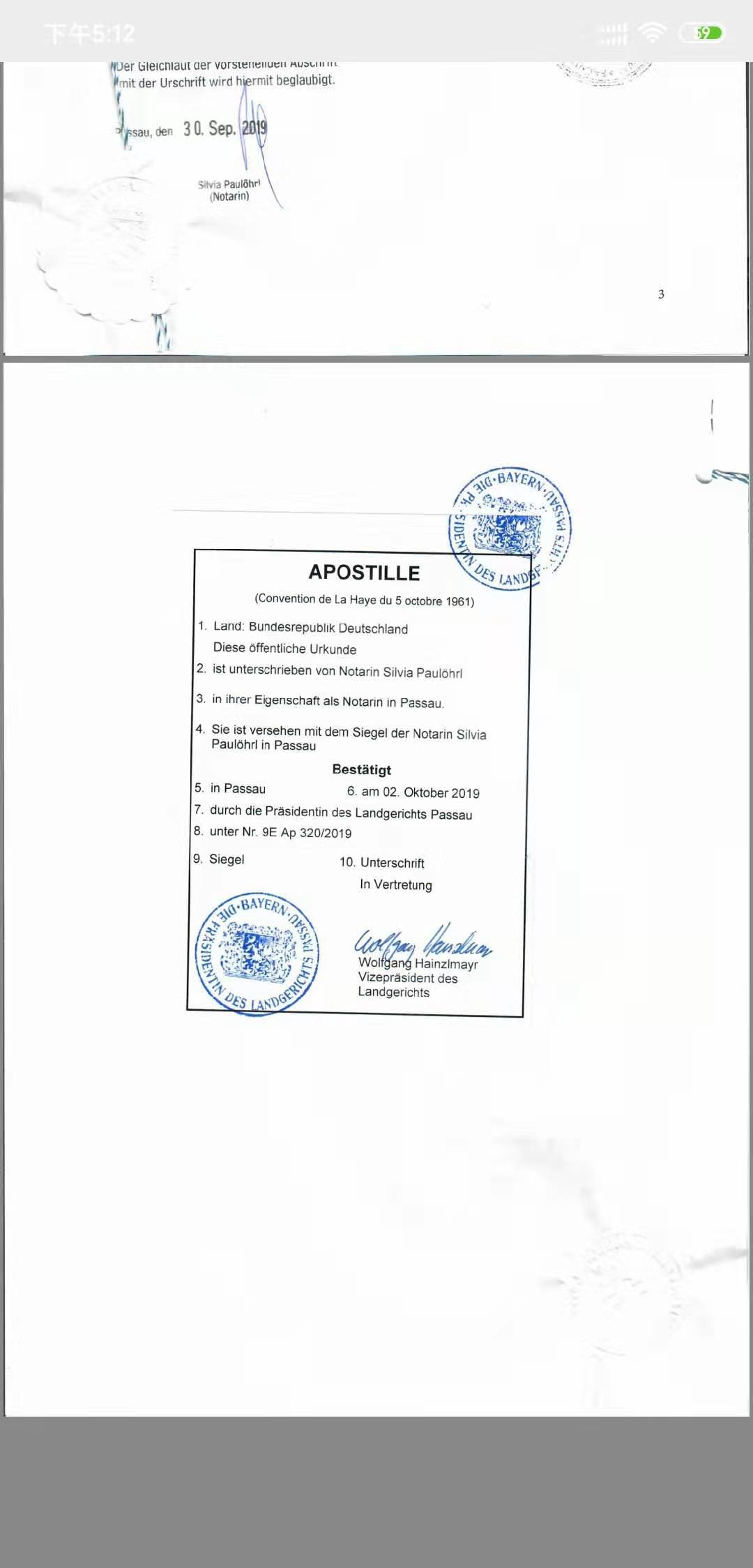 德国海牙认证案例样本